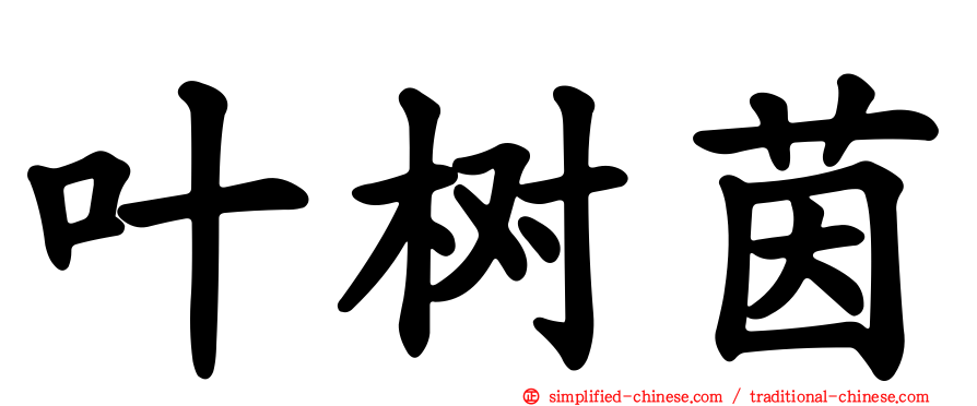 叶树茵