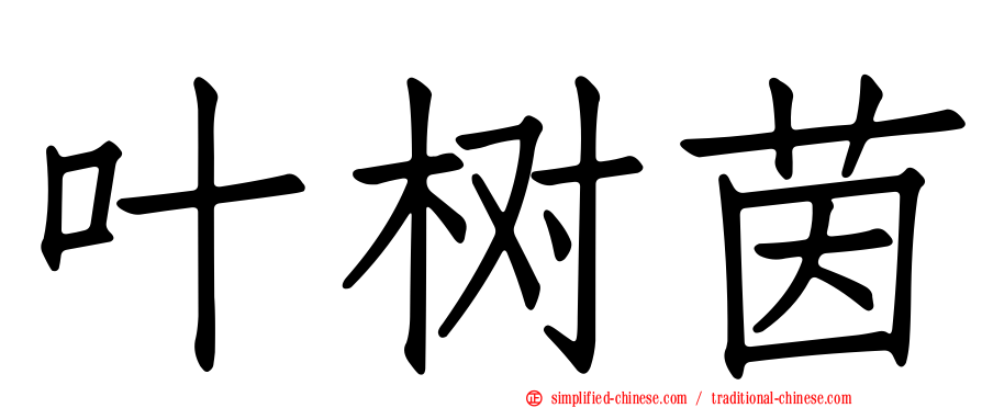 叶树茵
