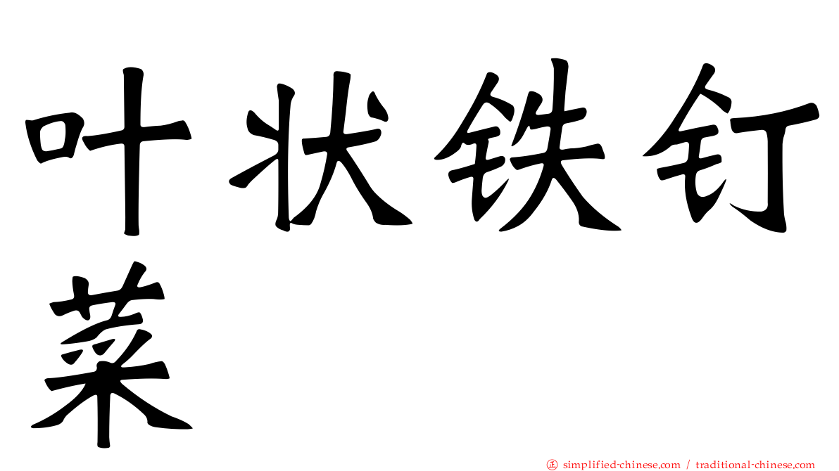 叶状铁钉菜