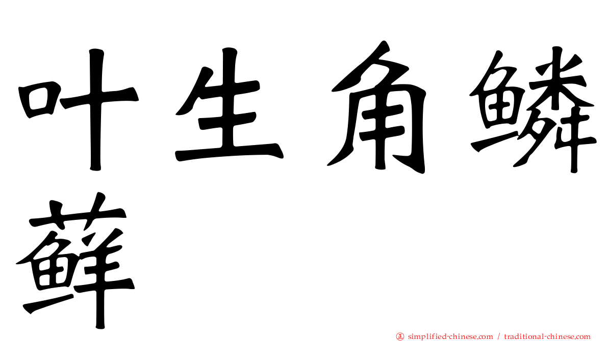 叶生角鳞藓