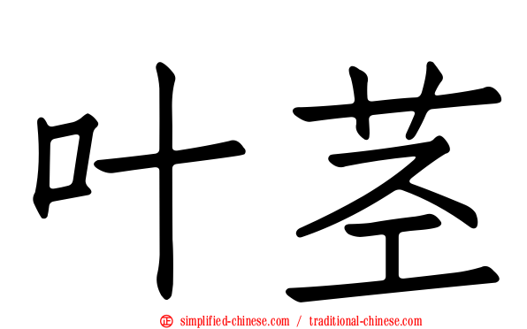 叶茎