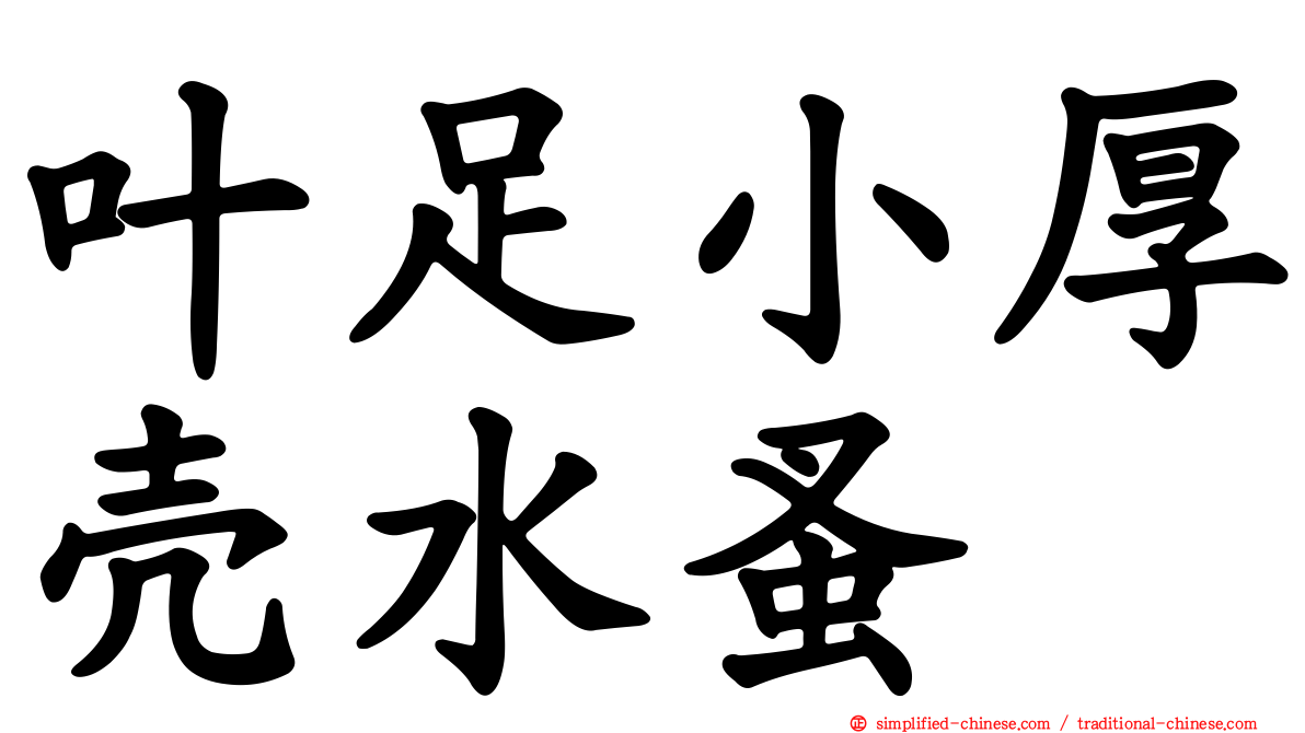 叶足小厚壳水蚤