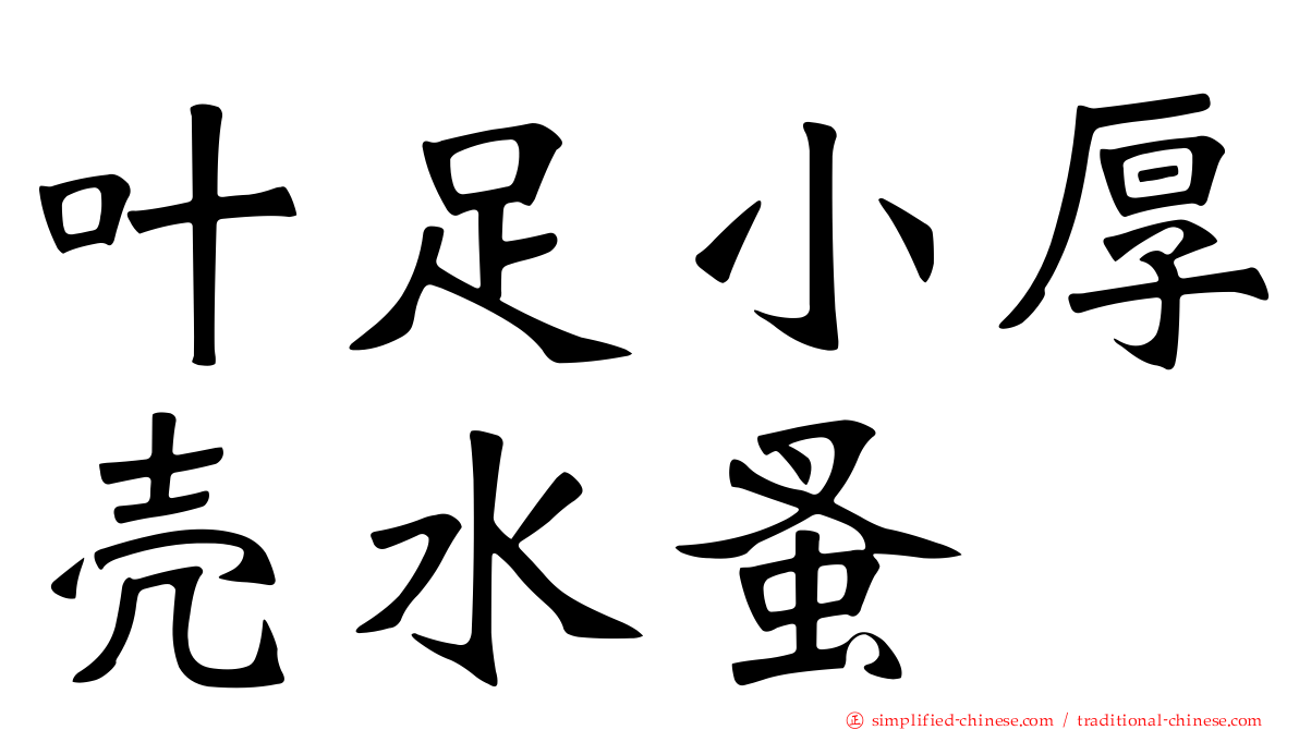 叶足小厚壳水蚤