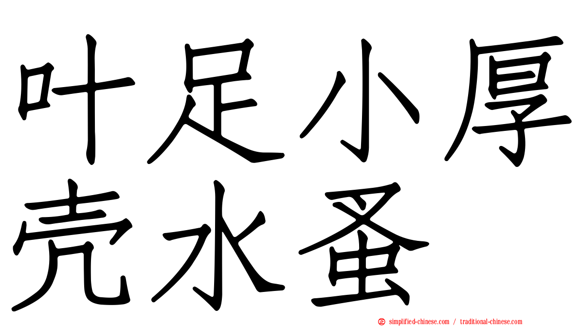 叶足小厚壳水蚤