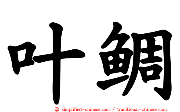 叶鲷