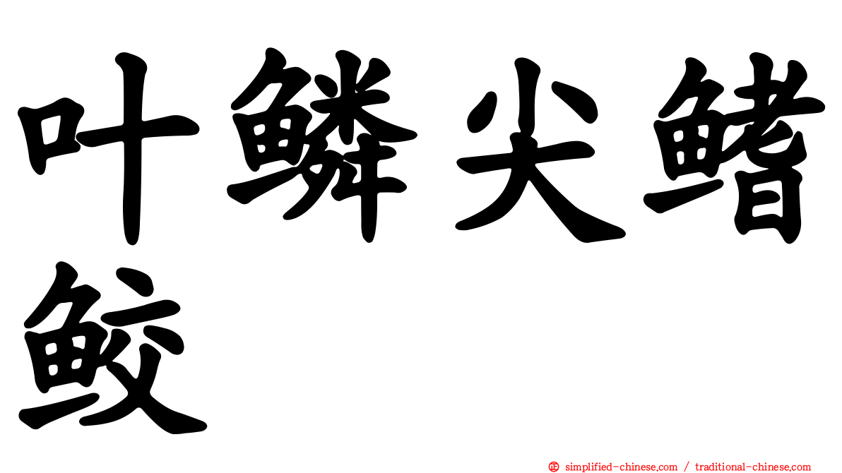 叶鳞尖鳍鲛