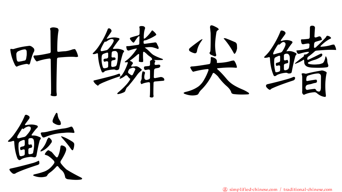 叶鳞尖鳍鲛