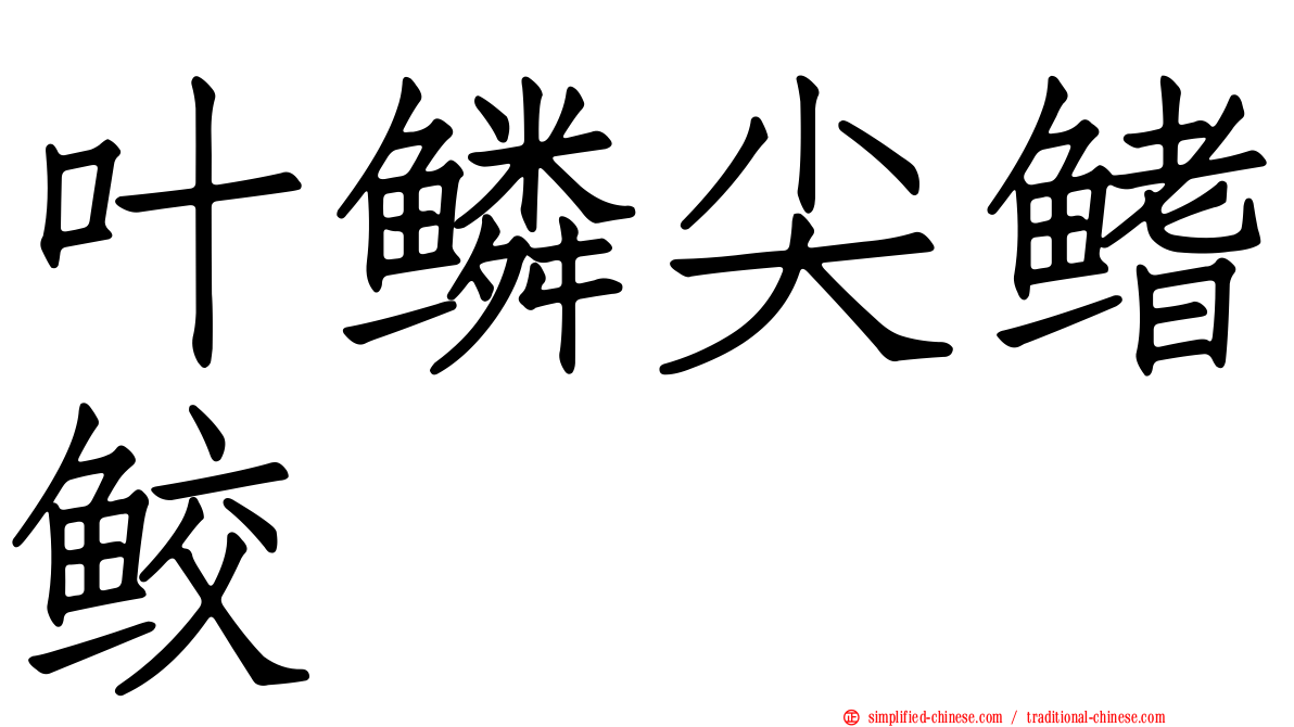 叶鳞尖鳍鲛