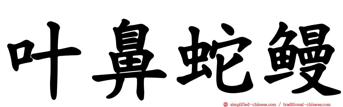 叶鼻蛇鳗