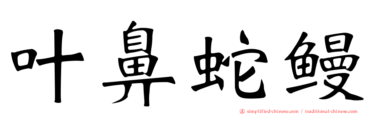 叶鼻蛇鳗