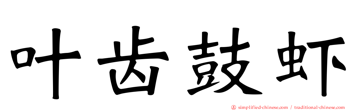 叶齿鼓虾