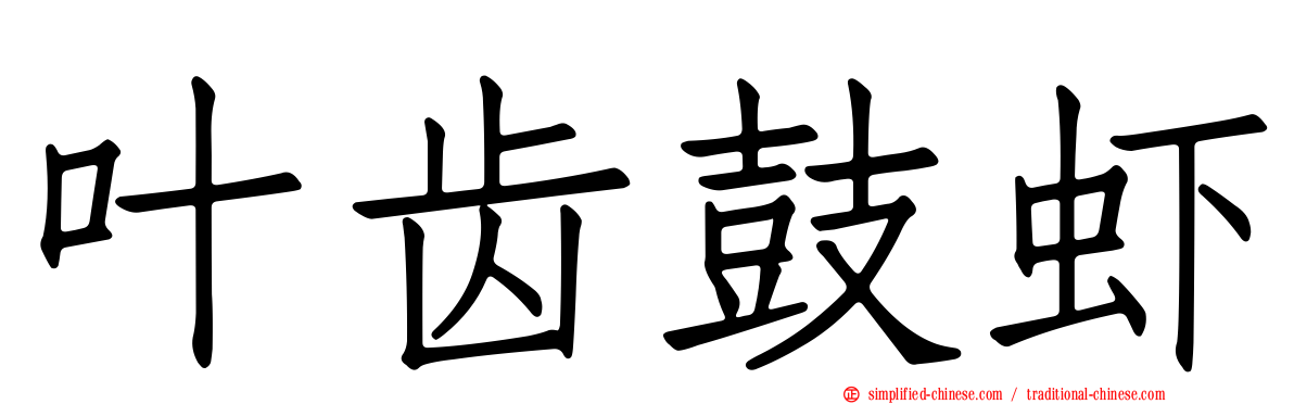 叶齿鼓虾