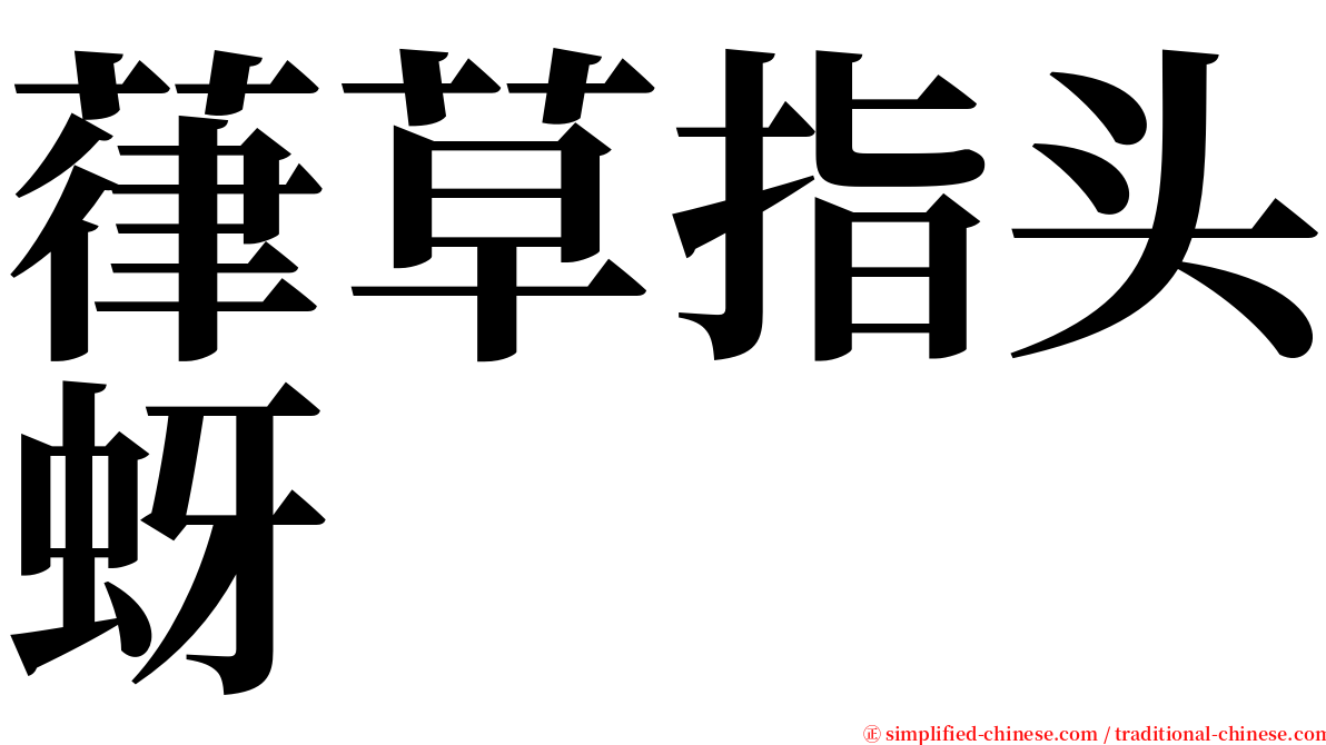 葎草指头蚜 serif font