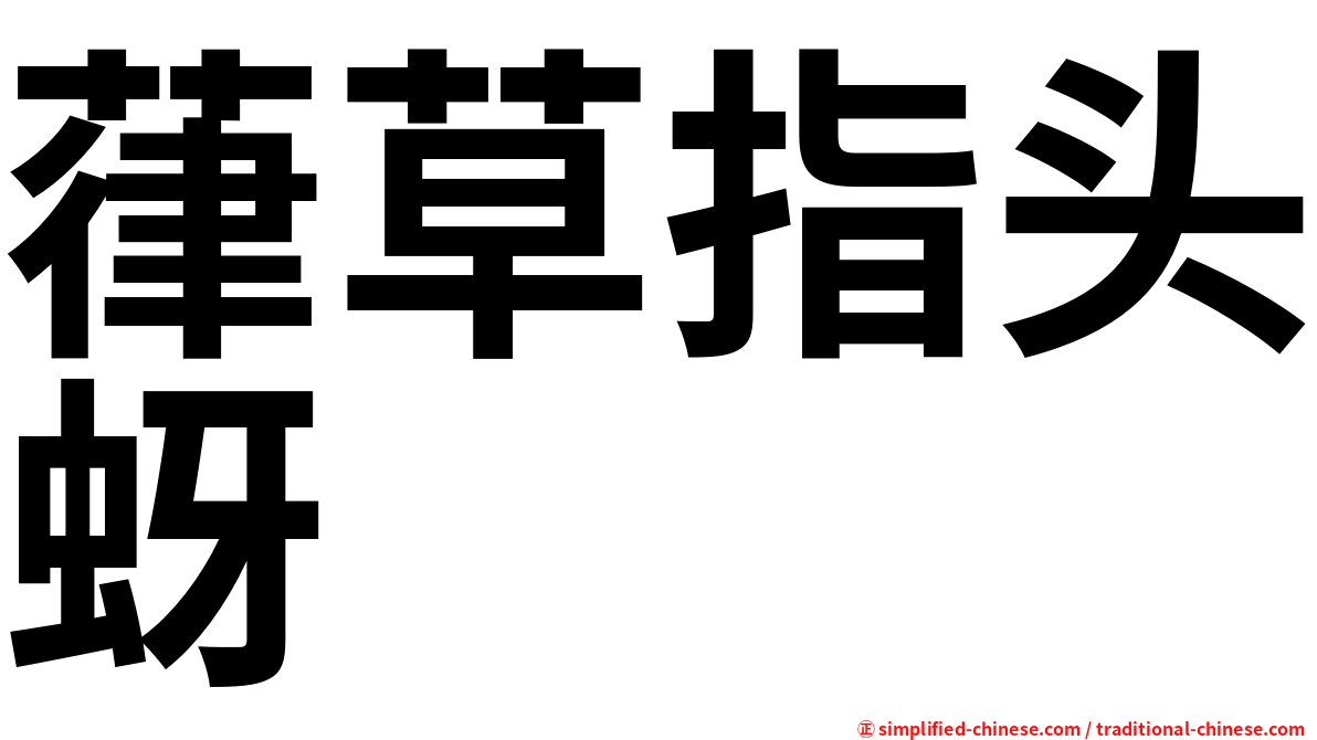 葎草指头蚜
