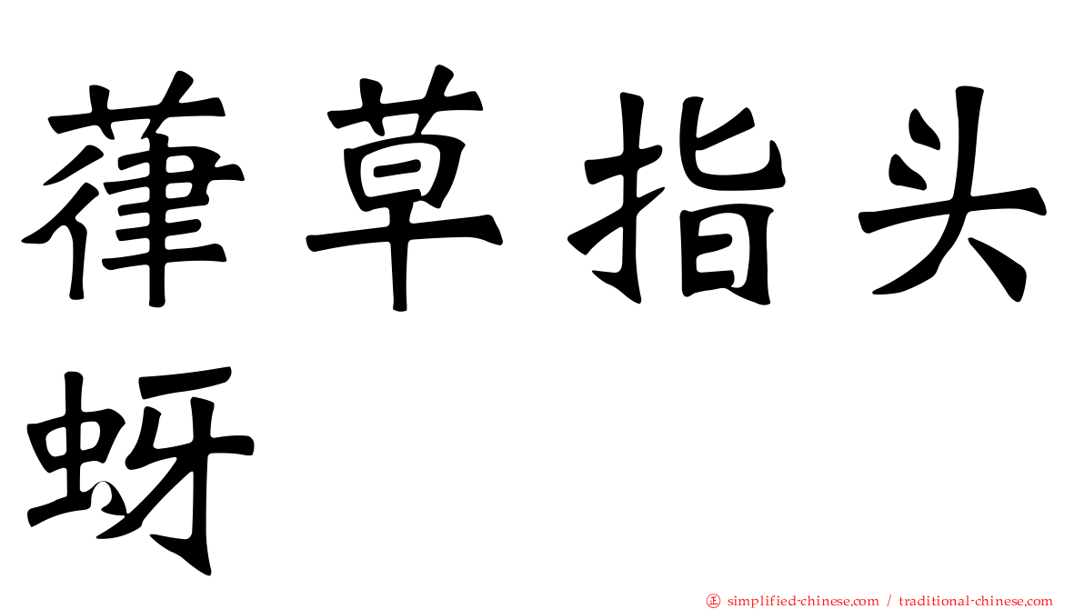 葎草指头蚜