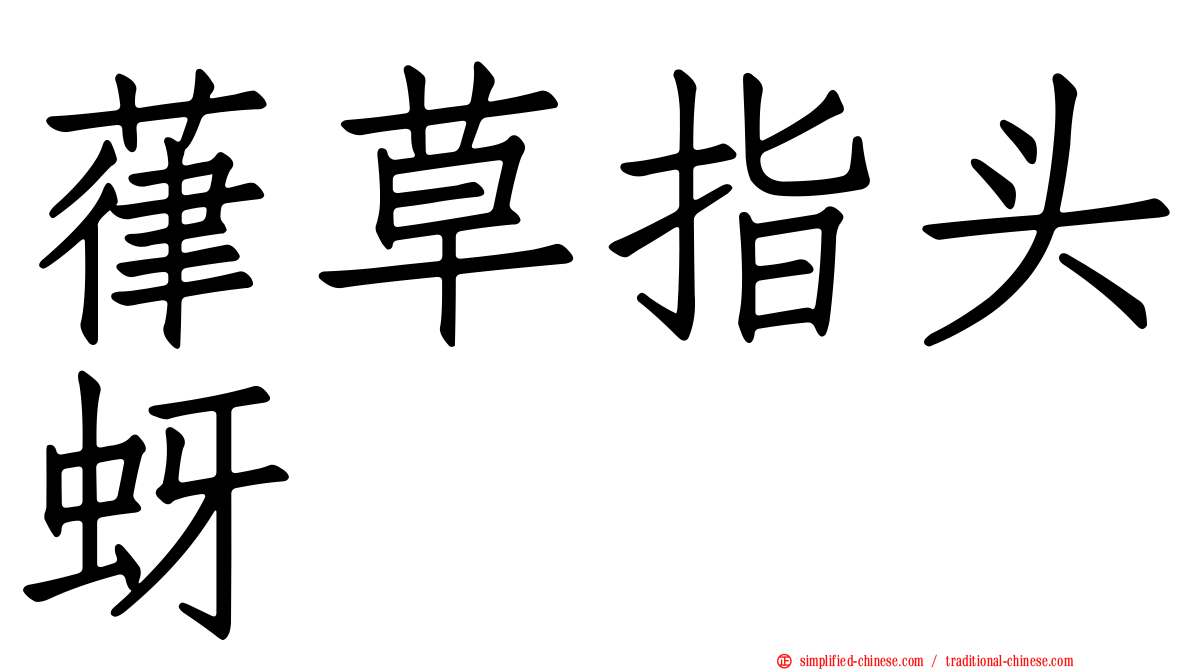 葎草指头蚜