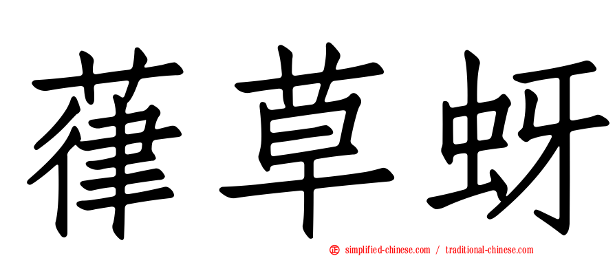 葎草蚜