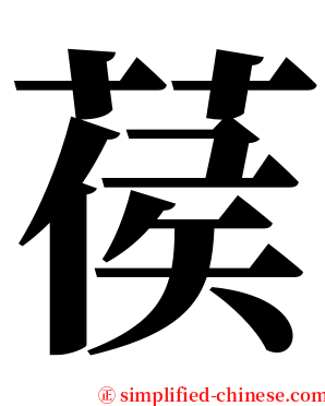 葔 serif font