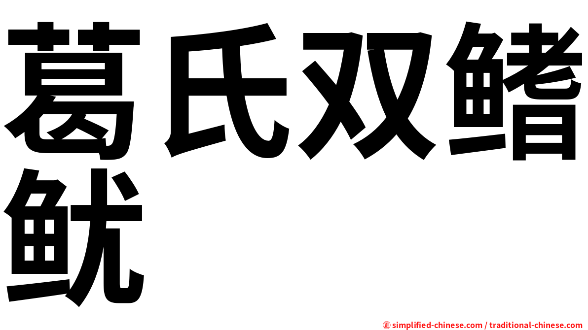 葛氏双鳍鱿