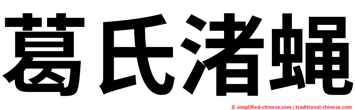 葛氏渚蝇