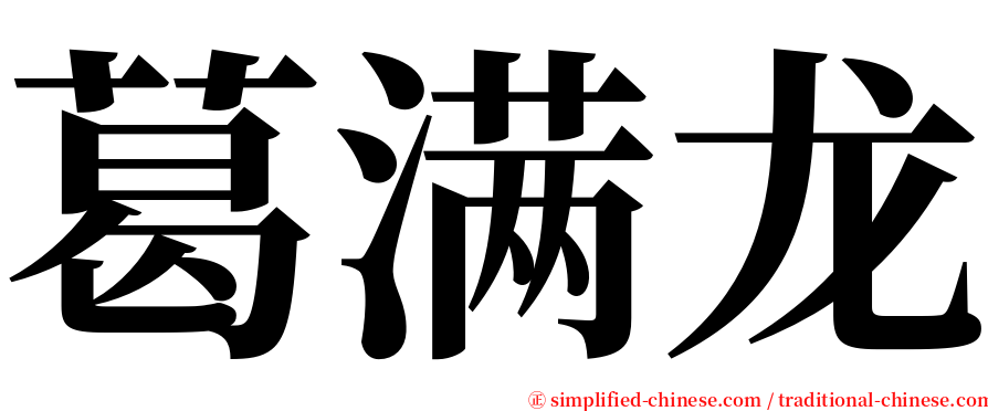 葛满龙 serif font