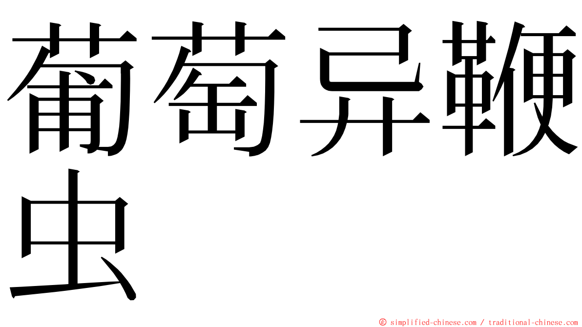 葡萄异鞭虫 ming font