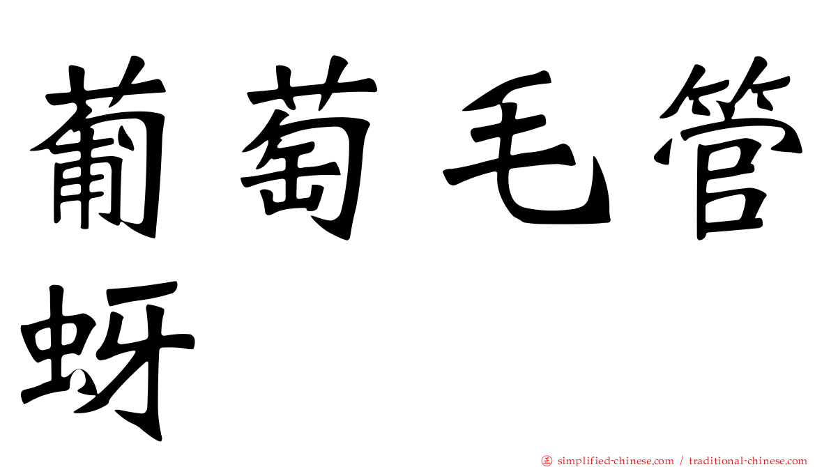 葡萄毛管蚜