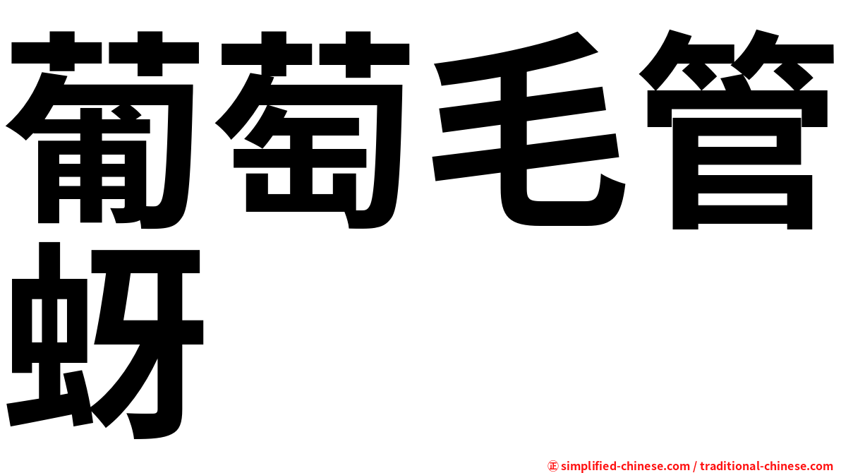 葡萄毛管蚜