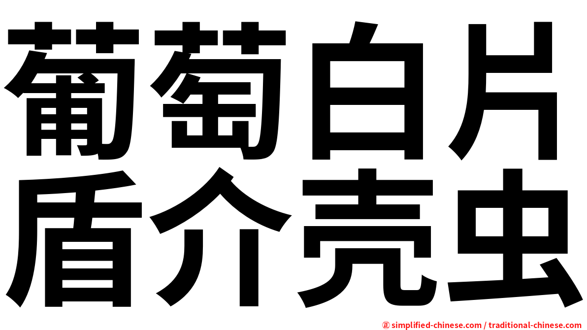葡萄白片盾介壳虫