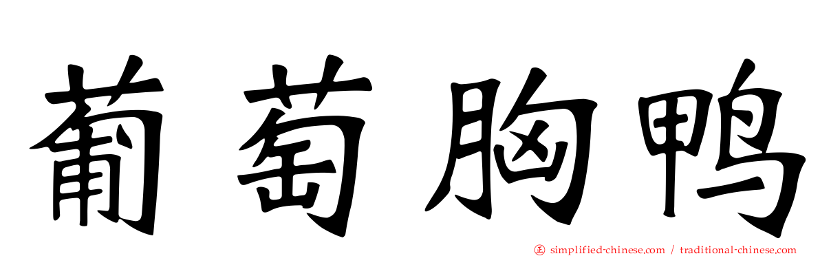 葡萄胸鸭