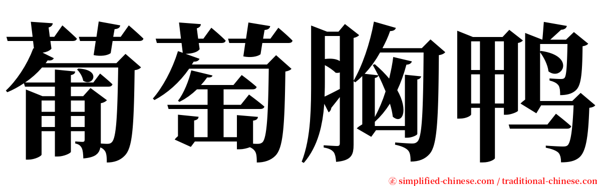 葡萄胸鸭 serif font