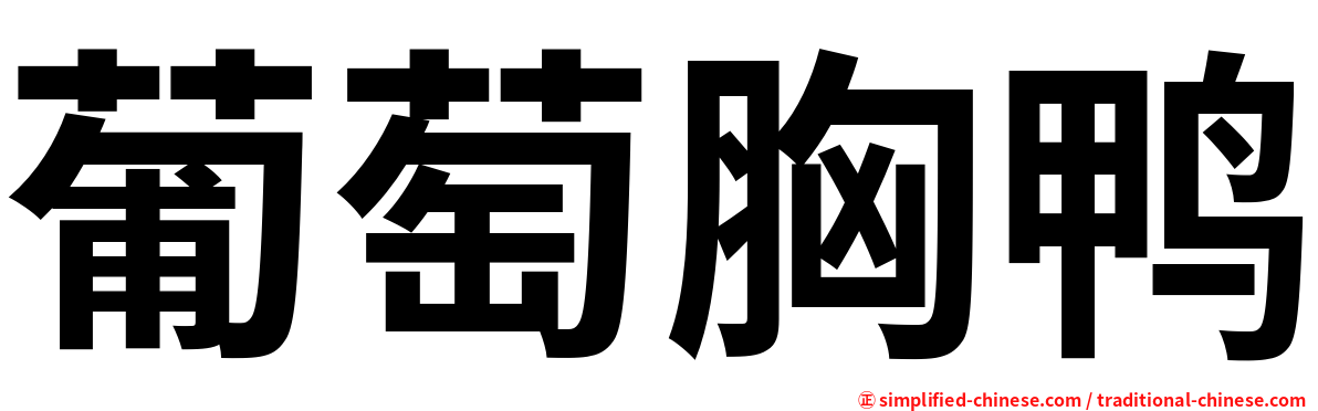 葡萄胸鸭