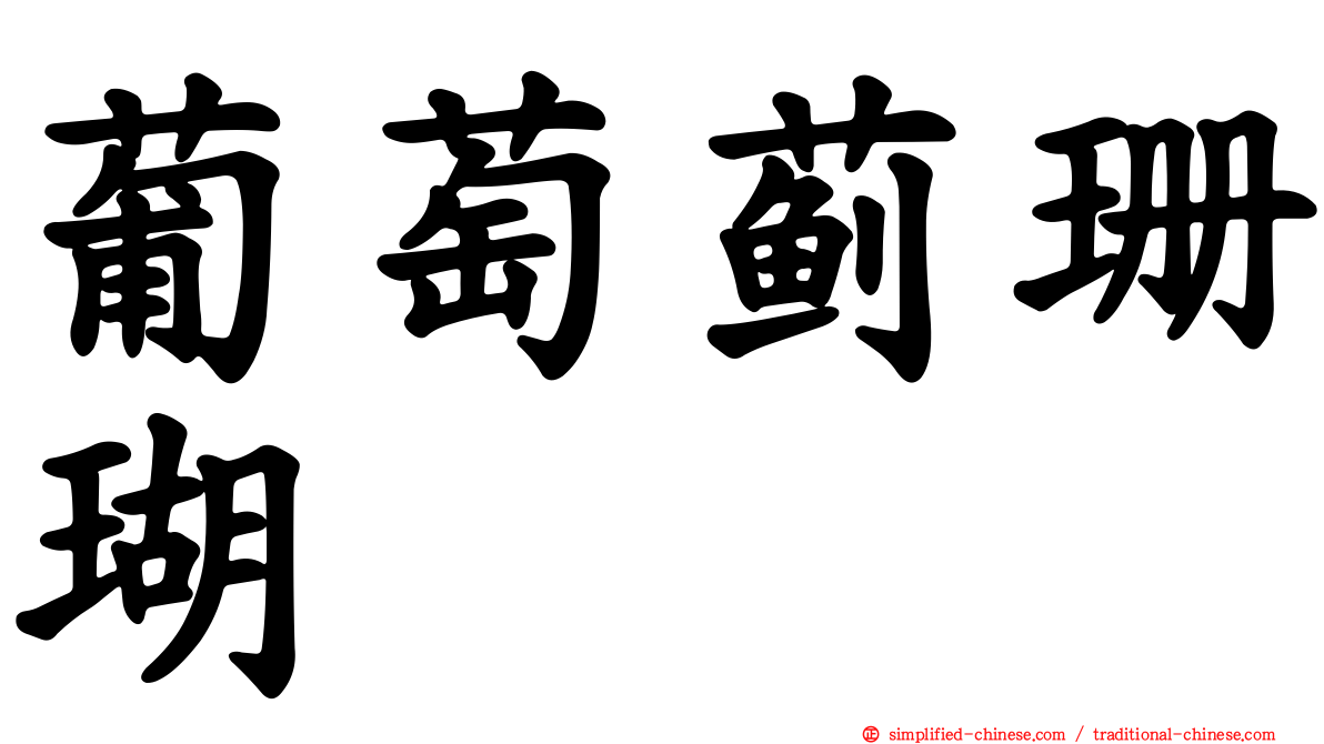 葡萄蓟珊瑚