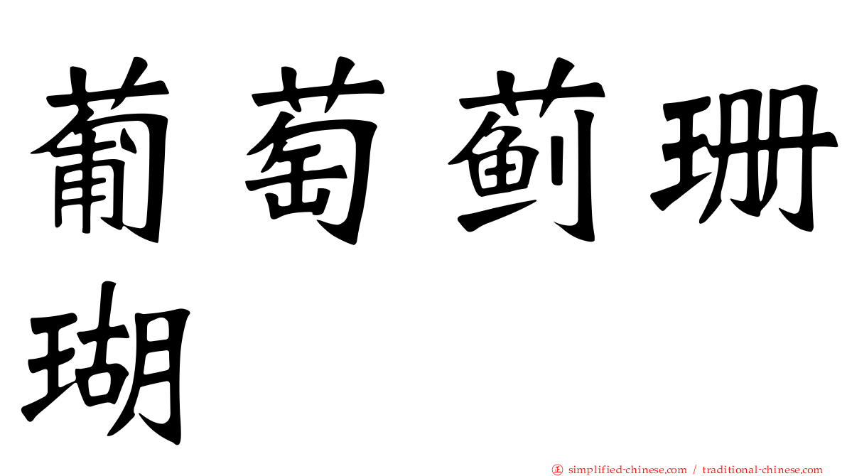 葡萄蓟珊瑚