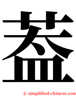 葢 serif font