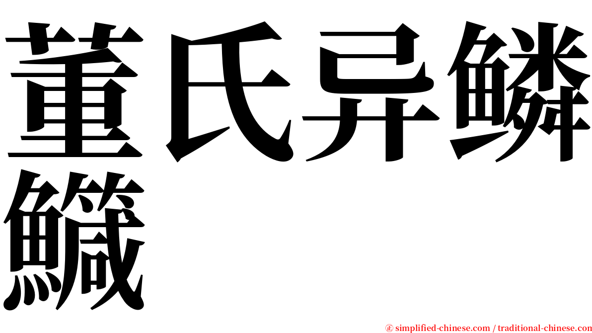 董氏异鳞鱵 serif font