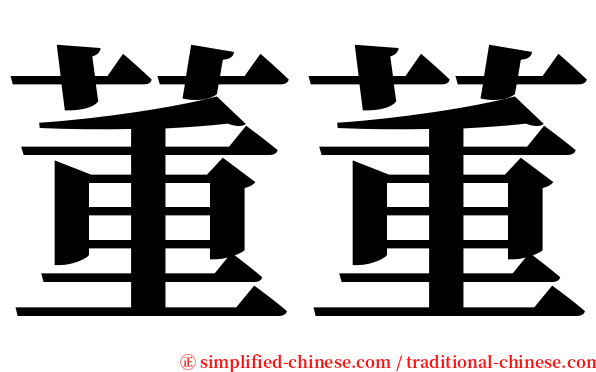 董董 serif font
