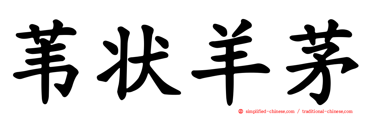 苇状羊茅
