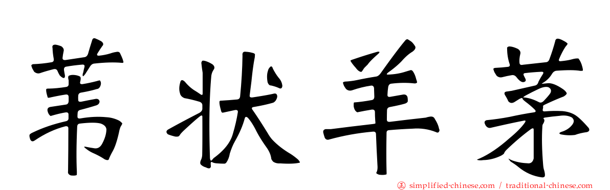 苇状羊茅