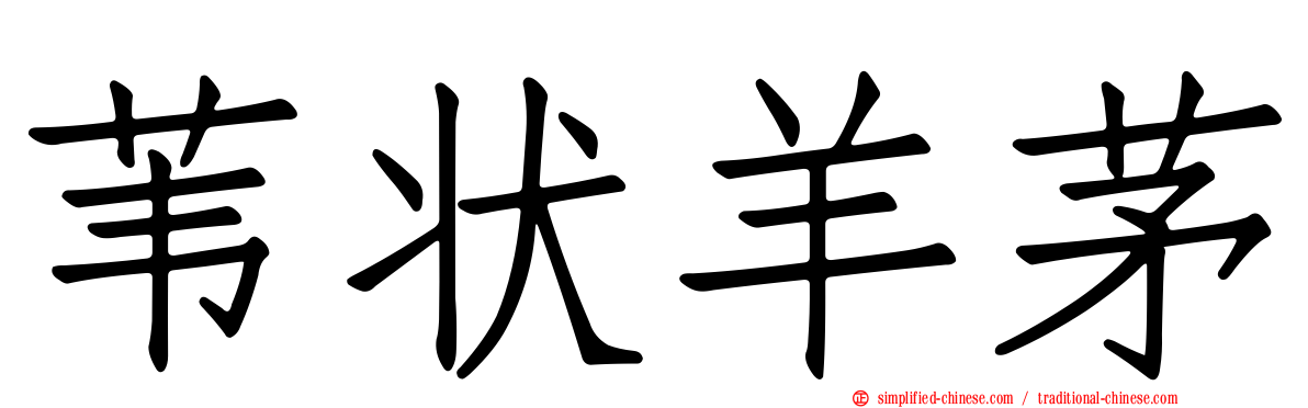 苇状羊茅