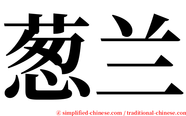 葱兰 serif font