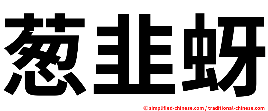 葱韭蚜