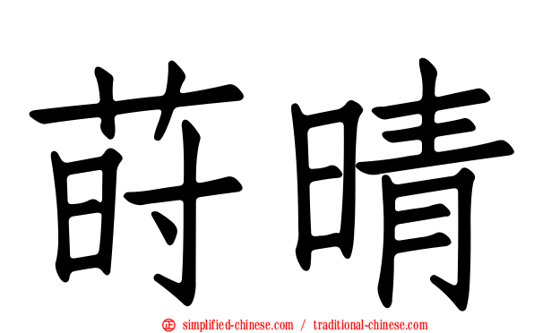 莳晴