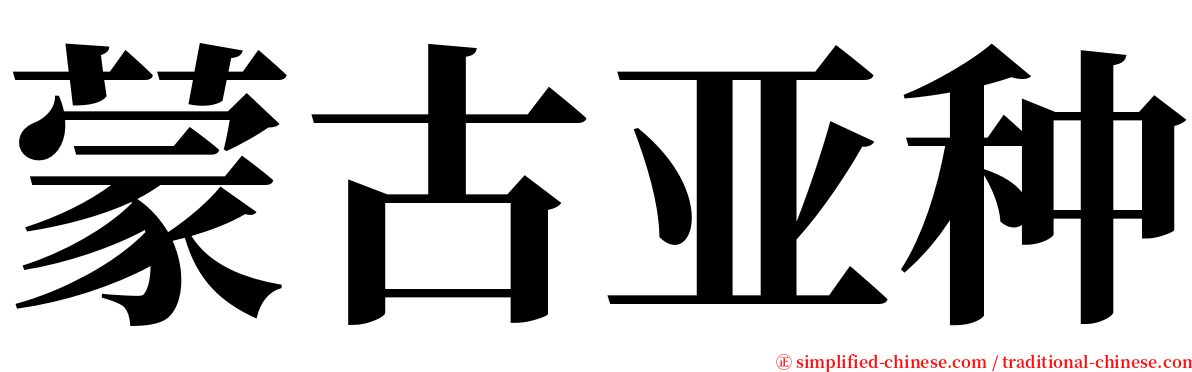 蒙古亚种 serif font
