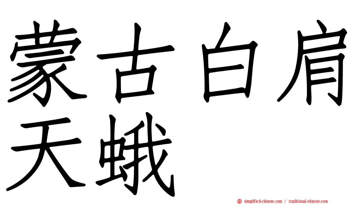 蒙古白肩天蛾
