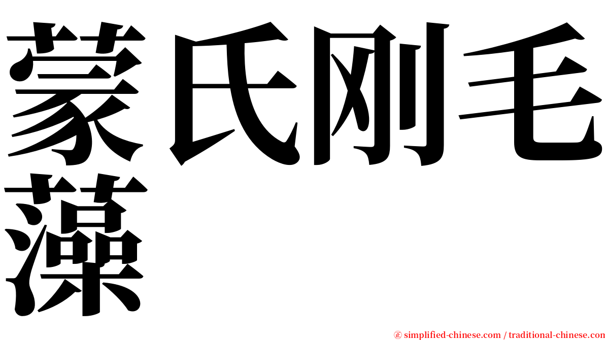 蒙氏刚毛藻 serif font