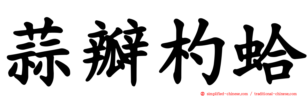 蒜瓣杓蛤