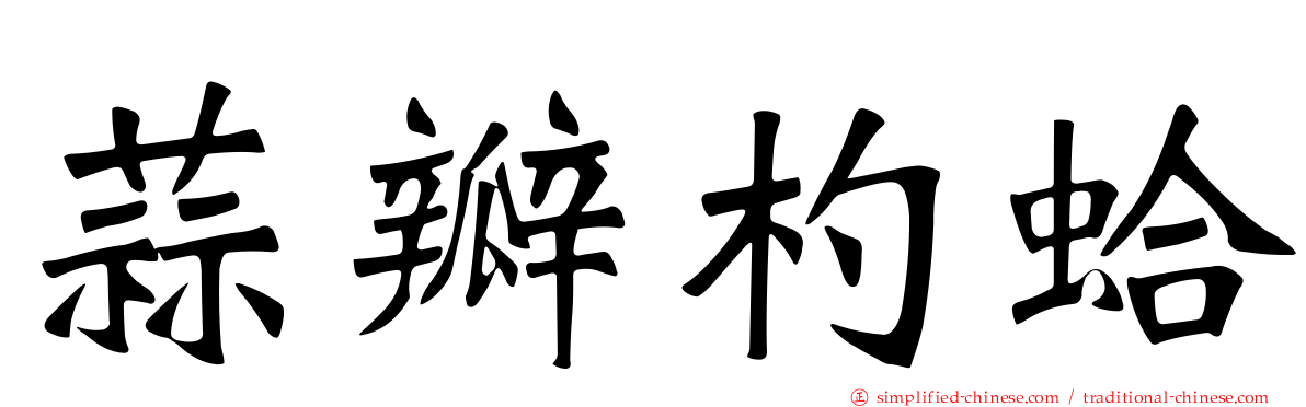 蒜瓣杓蛤