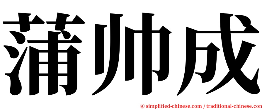 蒲帅成 serif font
