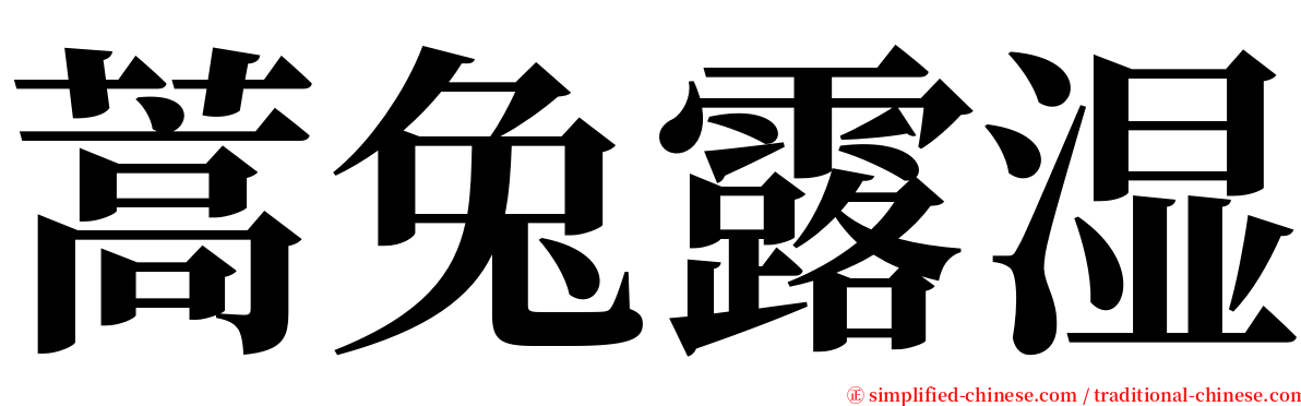 蒿兔露湿 serif font